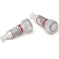 Oligonucleotide Standards